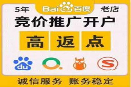 某企业通过百度SEM实现ROI最大化的案例